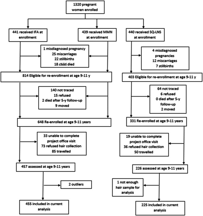 Flowchart of child's eligibility, enrollment and data collection at 9–11 y when we assessed hair cortisol concentration. IFA = Iron & folic acid supplement, MMN = Multiple micronutrient supplement, SQ‐LNS = Small‐quantity lipid‐based nutrient supplement.