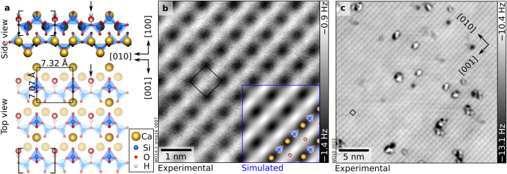 As-cleaved, hydrated wollastonite (100): one H2O molecule per unit cell. (a) DFT-optimized surface structure of wollastonite (100) with one H2O per (1 × 1) surface unit cell adsorbed in the “nested” configuration (black arrow). Brackets indicate thedreierkettenrepeat unit (one upper and two lower silica tetrahedra) of the silicate chain running along the [010] direction. (b and c) 5.3 × 5.3 nm2and 27 × 27 nm2nc-AFM images of the UHV-cleaved surface that has reacted with H2O at room temperature. Dark grey indicates attractive tip–surface interaction, while in the light-gray regions, tip–sample interaction is weak. The inset in panel (b) shows an AFM simulation derived from the DFT model on the left-hand side (tip–sample distance of 5.7 Å). AFM parameters: (b)A= 700 pm,Vs= −2.5 V, Cu-terminated tip. (c)A= 550 pm,Vs= −10 V, wollastonite-modified tip. (1 × 1) unit cells are marked in black.
