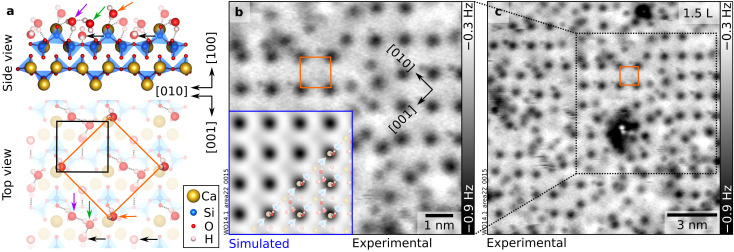 2.5 H2O molecules per unit cell: full layer of “stable √2”. (a) DFT-optimized surface structure of wollastonite (100) with a (√2 × √2)R45° overlayer containing 2.5 H2O per (1 × 1) unit cell (see Fig. S7a for a larger-scale top view of the model). The H-bonded network (marked by gray dotted lines) involves three H2O molecules: the nested one (black arrow), one previously protruding (purple arrow), and one additional H2O (green arrow). The remaining protruding molecules (orange arrow) are aligned with the surface Ca ions and dominate the AFM contrast (circular dark features). (b and c) nc-AFM images (8.4 × 8.4 nm2and 14 × 14 nm2, respectively) corresponding to the same dose of 1.5 L (A= 700 pm,Vs= −2.5 V, O-terminated tip). The inset in panel (b) shows an AFM simulation derived from the DFT model on the left-hand side (tip–sample distance of 5.2 Å).