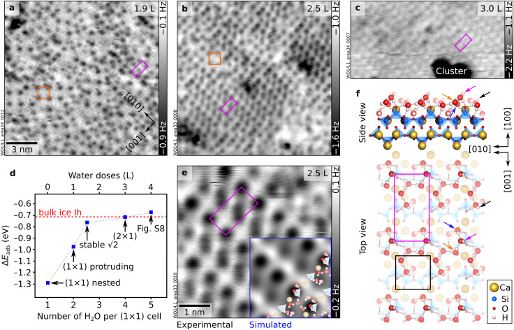 Between 2.5 and 4 H2O molecules per unit cell: from “stable √2” to (2 × 1) configurations. (a and b) 15 × 15 nm2nc-AFM images of wollastonite (100) with increasing H2O coverages, moving from (a) the “stable √2” (orange square) plus additional features to (b) a (2 × 1) overlayer. Water doses in Langmuir (in addition to the nested water) are indicated in the top-right corners of the AFM images. (c) 14.7 × 7.6 nm2nc-AFM image showing a water cluster (dark; attractive interaction with the tip) on top of the (2 × 1) layer. (d) Differential adsorption energies (ΔEads) of the calculated configurations at different H2O coverages. The dashed red line indicates the bonding energy of hexagonal bulk ice calculated with the same functional; the dotted, grey line connects the blue dots to visualize the trend. The blue markers correspond to the structure models of “nested” H2O (Fig. 1a), “protruding” H2O (Fig. 2a), full “stable √2” pattern (Fig. 4a), (2 × 1) pattern (panel f), and the lowest-energy model obtained for a coverage of five H2O per (1 × 1) unit cell (Fig. S8). (e) 5 × 5 nm2nc-AFM image of the (2 × 1) structure overlaid by the AFM simulation corresponding to the model in panel (f). AFM parameters: (a)A= 700 pm;Vs= −3.6 V; (b)A= 700 pm;Vs= −0.1 V; (c)A= 700 pm;Vs= −3.4 V (O-terminated tips). Orange squares and magenta rectangles identify the unit cells of the “stable √2” and (2 × 1) structures, respectively. (f) DFT-optimized structure model of wollastonite (100) with 4 H2O per (1 × 1) unit cell, forming a (2 × 1) pattern (see Fig. S7d for a larger-scale top view of the model). Magenta and black arrows indicate the most and second-most protruding H2O molecules, respectively. Blue and orange arrows mark the two neighboring molecules donating H bonds to the most protruding H2O.