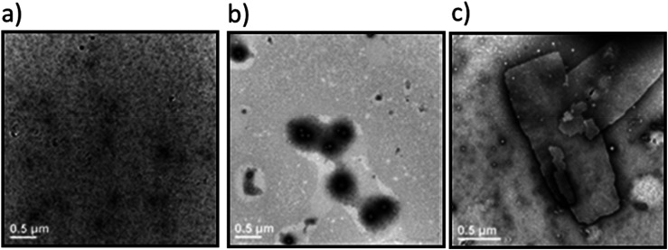 Transmission electron microscopy images of the (a) W2F2-G8at 25 °C; (b) Dex-CF/W2F2-G8at 25 °C; (c) W2F2-G8at 50 °C. Samples were stained with 1% PTA aqueous solution. Scale bars = 500 nm.