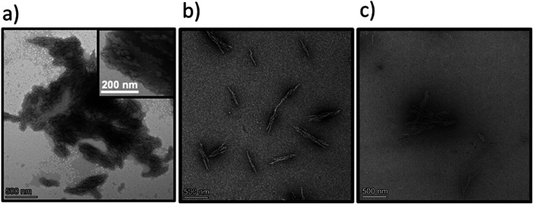 Transmission electron microscopy images for Y6-G8-COOH at various pH conditions at room temperature. (a) Y6-G8-COOH at pH 1.0; (b) Y6-G8-COOH at pH 5.0; (c) Y6-G8-COOH at pH 9.0.