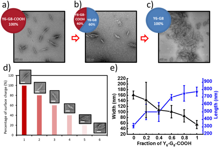 Morphological characterizationsviatransmission electron microscopy of the Y6-G8/Y6-G8-COOH co-assemblies. (a) 100% Y6-G8-COOH at RT; (b) co-assembly of 40% Y6-G8-COOH and 60% Y6-G8at RT; (c) 100% Y6-G8at RT; (a, b, c are all prepared in 1 mg mL−1in pH 5.0 DI H2O, scale bars = 500 nm); (d) representative morphologies at various surface charge percentage (scale bars = 200 nm); (e) quantitative characterization of the morphologies of the ECnP co-assemblies at different Y6-G8-COOH ratios; the black curve indicates the change of the width, and the blue curve indicates the change of the length (n= 30).