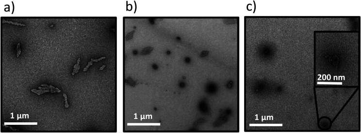 Transmission electron microscopy images for Y6-G8ECnPs at various pH values at room temperature. (a) Y6-G8at pH 5.0; (b) Y6-G8at pH 7.0; (c) Y6-G8at pH 9.0. Scale bars = 500 nm.