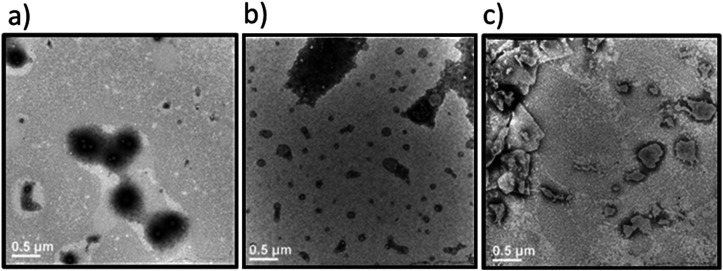 Transmission electron microscopy images of the Dex-CF/W2F2-G8at various stages of drug release. Samples were stained with 1% PTA aqueous solution. (a) 1 : 1 Dex-CF/W2F2-G8after washing at 37 °C; (b) 1 : 1 Dex-CF/W2F2-G8after 3 days of release at 37 °C; (c) 1 : 1 Dex-CF/W2F2-G8after 4 days of release at 37 °C. Scale bars = 500 nm.