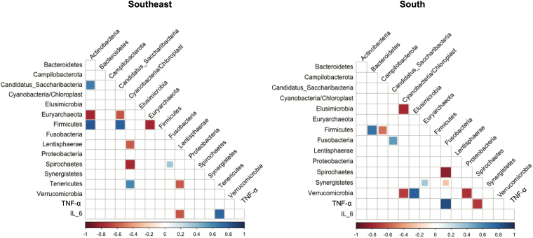 Correlogram between bacterial phyla, microbial taxa, and inflammatory markers.