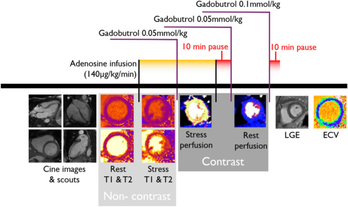 Timeline of the CMR scanning protocol. Scouts and cine images were acquired first, followed by native T1 and T2 mapping at rest. After 3 min of adenosine infusion, native T1 and T2 mapping were acquired, followed by first‐pass perfusion imaging using gadobutrol (0.05 mmol/kg), which generated a perfusion map and a blood volume map. After the adenosine infusion was terminated, a 10‐min pause followed to reach contrast equilibrium. First‐pass perfusion images were acquired using gadobutrol (0.05 mmol/kg) at rest and an additional dose of gadobutrol (0.1 mmol/kg) was administered for post‐contrast LGE and ECV maps at rest.