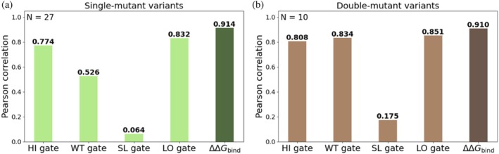Pearson correlations between predicted log2ERs and experimental absolute binding affinities for each gate individually (light shades) and for the combined ΔΔGbindvalues (dark shades) for (a) 27 single‐mutant variants and (b) 10 double‐mutant variants.