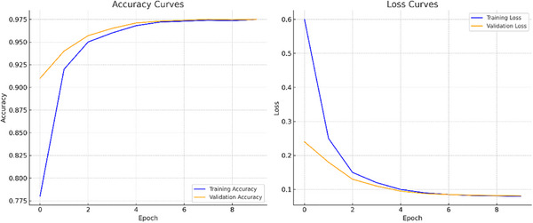 Training and validation accuracy and loss curves over 10 epochs (batch size 64) with no early stopping.