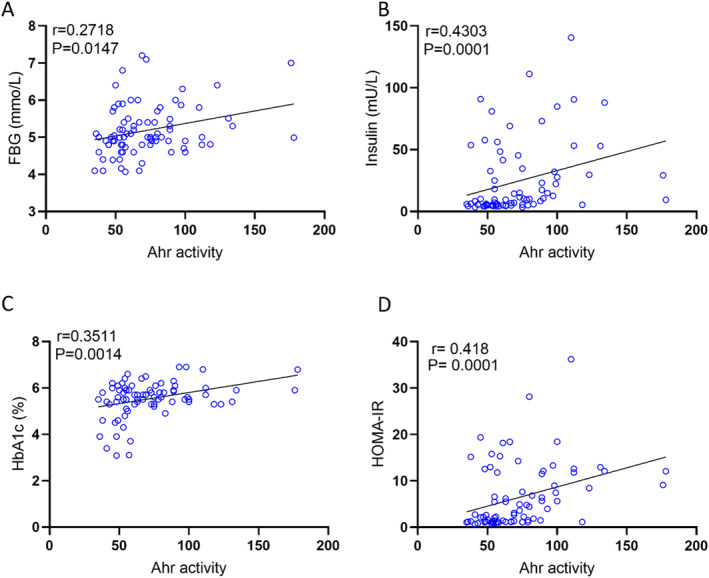 AhR agonist activity in healthy plasma samples with insulin sensitivity markers was assessed in technical duplicates using an AhR ligand sensitive luciferase assay. AhR activity levels of healthy participants were positively correlated with FBG (A), insulin (B), HbA1C (C), and HOMA‐IR (D). Values represent the actual measurements of each sample. Correlations between Ahr activity levels and metabolic markers were assessed using Spearman's rank correlation coefficient,p< 0.05 was considered significant.