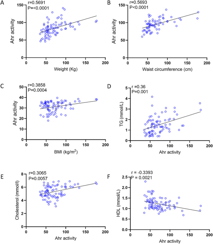 AhR agonist activity in healthy plasma samples with clinical markers was assessed in technical duplicates using an AhR ligand sensitive luciferase assay. AhR activity levels of healthy participants were positively correlated with weight (A), waist circumference (B), BMI (C), TG (D), Cholesterol (E), and HDL (F). Values represent the actual measurements of each sample. Correlations between Ahr activity levels and metabolic markers were assessed using Spearman's rank correlation coefficient,p< 0.05 was considered significant.