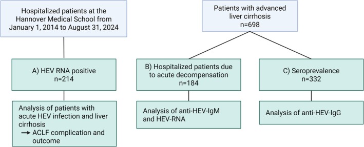 Study outline and overview of the cohorts analysed. The schematic summarizes the different patient cohorts (A–C) and analyses performed in this study.