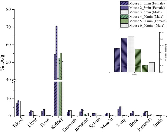 Ex vivo biodistribution results of [161Tb]Tb‐DOTA‐AP‐2 in mixed‐gender CFW mice at 5 and 60 min postadministration.