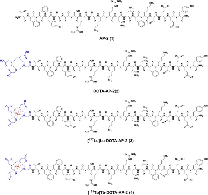 Structures of the four synthesized compounds: (1) AP‐2, (2) DOTA‐AP‐2, (3) [177Lu]Lu‐DOTA‐AP‐2, and (4) [161Tb]Tb‐DOTA‐AP‐2.