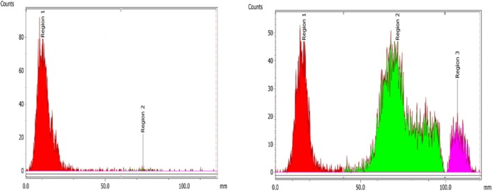 Radiochemical stability data of [161Tb]Tb‐DOTA‐AP‐2 in the presence of human serum using sodium citrate of 0.1 M as a mobile phase on Day 1 postradiolabeling (left panel: no degradation observed:Rfof radiolabeled compound, 0.0–0.2) and on Day 7 postradiolabeling (right panel: new peak observed:Rf= 0.5). For Day 10, the evaluation was carried out using a gamma‐counter due to the lower activity of the samples (peak counts attributed to degradation products: 78.40% ± 5.85%; intact radiolabeled peptide [161Tb]Tb‐DOTA‐AP‐2: 19.73% ± 5.62%).