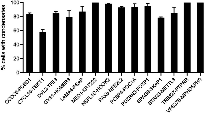 Quantification of condensate formation of fusion proteins. Bar graph shows the percentage of cells exhibiting condensates. Higher percentage suggests higher propensity in forming condensates. Data are presented as mean ± standard deviation from ≥3 independent experiments. For each condition, a minimum of 40 confocal images were acquired per experiment, and approximately 600 cells per construct were analyzed to determine the fraction of condensate‐positive cells.