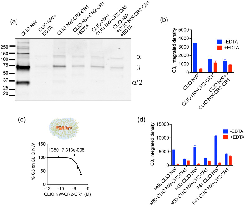 CR2-CR1 tethering to CLIO NW suppresses C3 opsonisation. Western blot (a), dot-blot (b) and (d) and IC50(c) analysis of C3 opsonisation on CLIO NW-CR2-CR1 in human sera. CR2-CR1 and EDTA decreases total C3 opsonisation (decrease in β chain intensity) on CLIO NW (a)–(d) as well as inhibition of enzymatic cleavage of α chain (disappearance of α′2 fragment) (b). In (a)–(c) serum was from a 62 years old female donor. In (d) gender (M or F) and age (number) of serum donors are indicated.