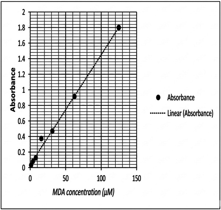 MDA standard curve. The values which are presented on the X‐axis represent MDA concentrations (μM) plotted against absorbance at 532 nm on the Y‐axis. All values were corrected for background absorbance using blank controls and reported as μM of MDA equivalents.