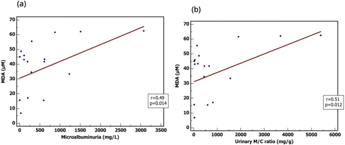 Correlations between MDA & laboratory findings in DN patients. (a) A positive correlation was detected between MDA levels and microalbuminuria, with significance;p= 0.014, (b) A positive correlation was detected between MDA levels and M/C ratio, with significance;p= 0.012. Pearson correlation test with a two‐tailed test to test the significance was used.