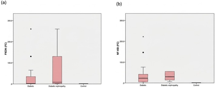 PXDNandNF‐kBexpression levels among the studied groups. (a) PXDN expression in different groups, with the highest expression shown in the DN group. (b) NF‐kB expression in different groups, with the highest expression noted in the DN group. Data is shown as median fold change. The Mann–Whitney Test is used.*Significant (p≤ 0.05).