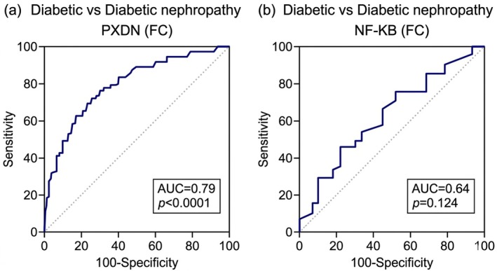ROC analysis for the diagnostic potential of the studied genes. (a) PXDN gene ROC analysis revealed a best cut‐off value > 5.4 [sensitivity = 65%, specificity = 90%, and accuracy = 77.5%], area under the curve (AUC) = 0.79,p< 0.0001 (b) NF‐kB diagnostic performance showed a best cut‐off value > 3.4 [sensitivity = 99%, specificity = 25%, and accuracy = 94.15%], AUC = 0.64, andp= 0.124.