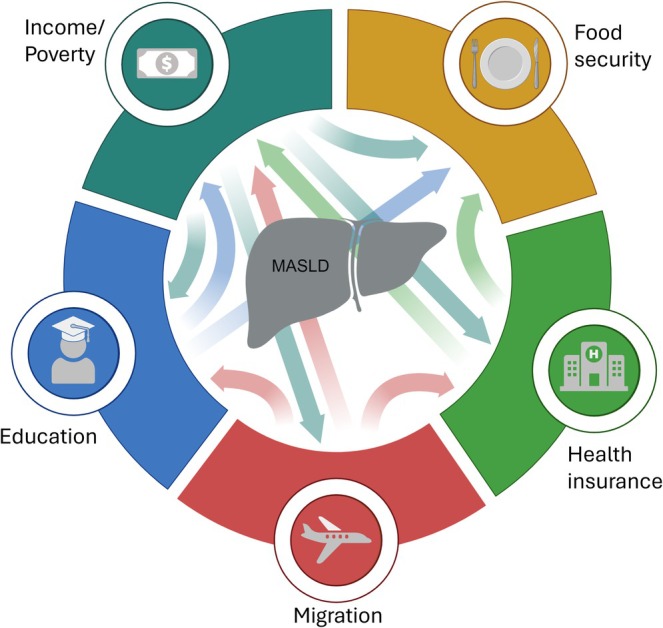 Social determinants of health influencing MASLD.