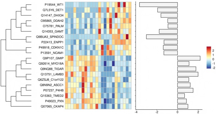 Proteomic identification of core differentially expressed proteins (DEPs).