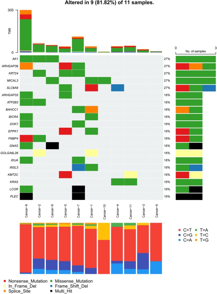 The molecular characteristics of HPV‐associated cervical poorly cohesive carcinomas (CPCC).
