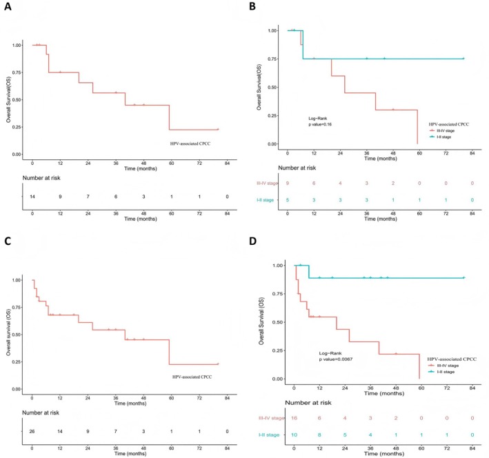 The survival analysis of patients with HPV‐associated cervical poorly cohesive carcinomas (CPCC). (A) Overall survival (OS) analysis of patients with CPCC in the present study (n= 14). (B) OS analysis of patients with stage III–IV and stage I–II of CPCC in the present study (n= 14). (C) OS analysis of patients with CPCC in the present study and literature (n= 28). (D) OS analysis of patients with stage III–IV and stage I–II of CPCC in the present study and literature (n= 28).