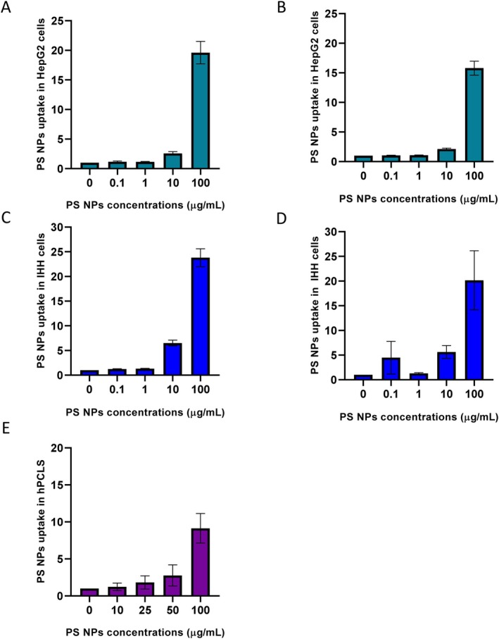 Quantification of PS NPs uptake in HepG2 cells after (A) 24 h (n= 3) and (B) 48 h (n= 3); IHH cells after (C) 24 h (n= 3) and (D) 48 h (n= 3); (E) hPCLS after 24 h exposure (n= 5).