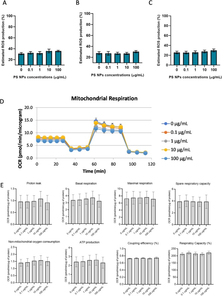 Physiological effect of PS NPs exposure on HepG2 cells. Estimated ROS levels in HepG2 cells after (A) 1 h (n= 6), (B) 4 h (n= 6) and (C) 24 h (n= 3) of exposure. Analysis of (D) OCR and (E) mitochondrial respiratory parameters in HepG2 cells after 24 h (n= 5).