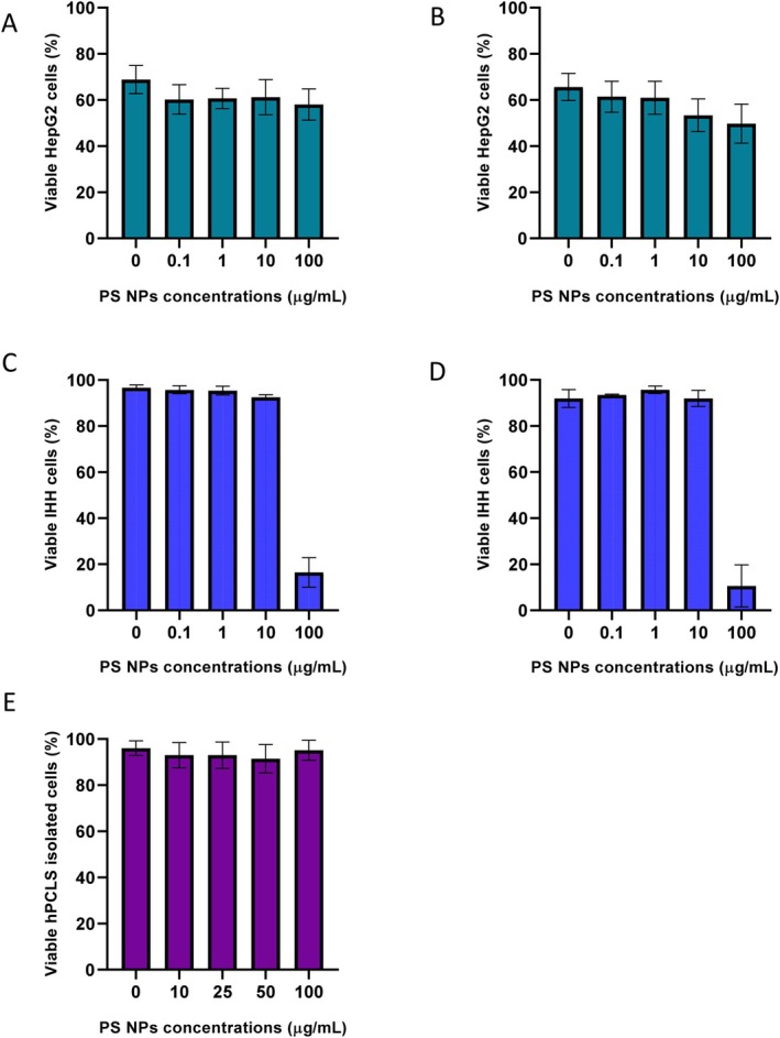 Effect of PS NPs on cell viability of HepG2 cells after (A) 24 h (n= 3) and (B) 48 h (n= 3); IHH cells after (C) 24 h (n= 3) and (D) 48 h (n= 3); (E) hPCLS after 24 h exposure (n= 5).
