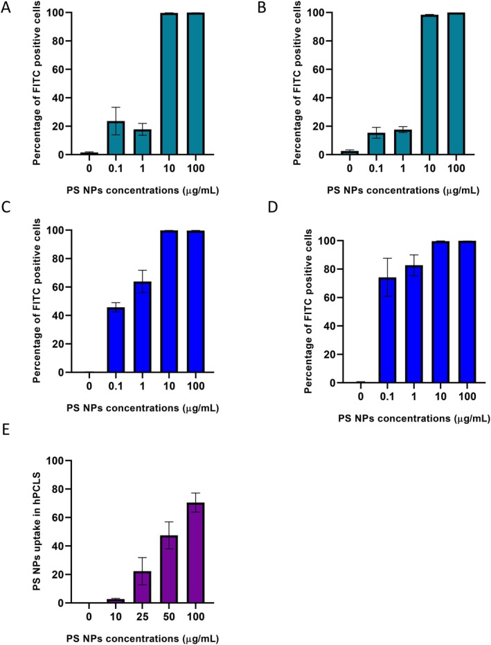Percent cellular uptake of PS NPs in HepG2 cells after (A) 24 h (n= 3) and (B) 48 h (n= 3); IHH cells after (C) 24 h (n= 3) and (D) 48 h (n= 3); (E) hPCLS after 24 h exposure (n= 5).