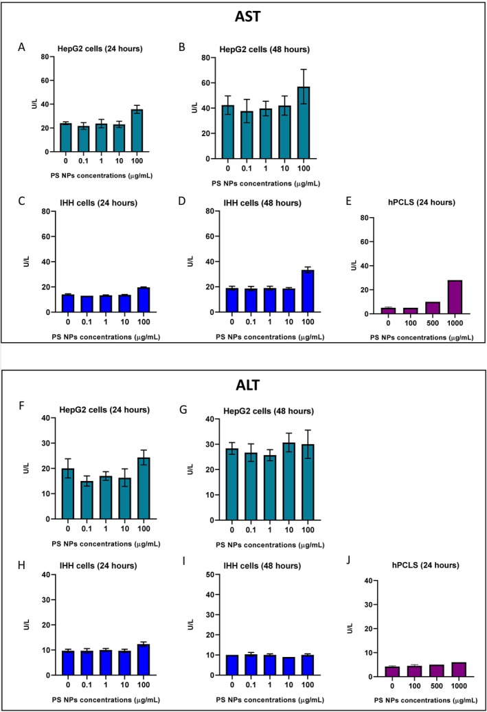 Analysis of cellular injury markers in hepatic models exposed to PS NPs. (Top panel) AST levels in media from HepG2 cells after (A) 24 h (n= 3) and (B) 48 h (n= 3), IHH cells (C) 24 h (n= 3) and (D) 48 h (n= 3), (E) hPCLS after 24 h (n= 1 for 500 and 1000 μg/mL). (Bottom panel) ALT levels in the media from HepG2 cells after (F) 24 h (n= 3) and (G) 48 h (n= 3), IHH cells (H) 24 h (n= 3) and (I) 48 h (n= 3), (J) hPCLS after 24 h (n= 1 for 500 and 1000 μg/mL).