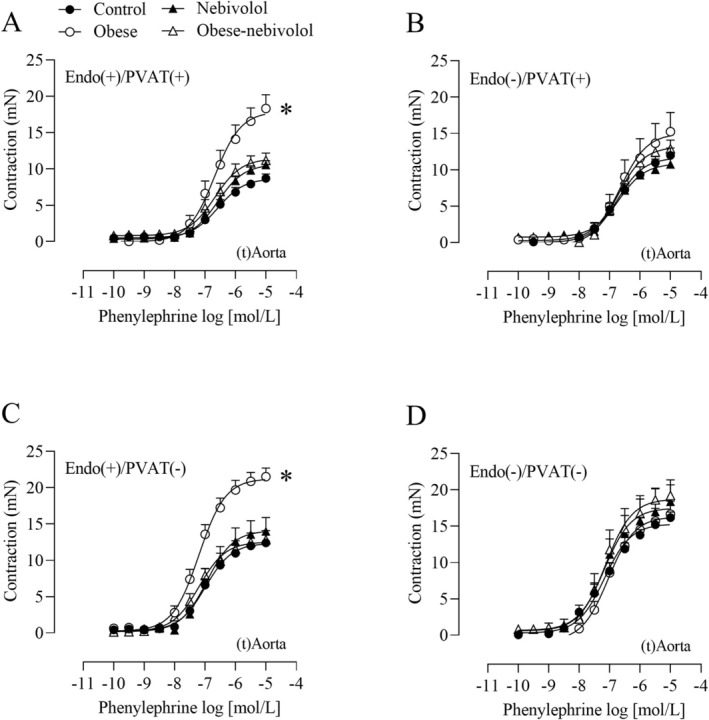 Nebivolol reverses the vascular hypercontractility induced by obesity in the thoracic aorta. Concentration‐response curves to phenylephrine were determined in the thoracic aorta [(t)Aorta] with intact [Endo(+)] or denuded endothelium [Endo(−)] in the presence [PVAT(+)] or absence of PVAT [PVAT(−)] (A–D). Values are given as mean ± SEM ofn= 5–9 rats. Compared to the control, nebivolol and obese‐nebivolol (p< 0.05, two‐way ANOVA followed by Tukey's post hoc test). The asterisk () denotes significant differences in either Emax or pD2values (provided in Table1).