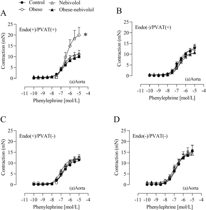 Nebivolol reverses obesity‐induced PVAT dysfunction in the abdominal aorta. Concentration‐response curves to phenylephrine were determined in the abdominal aorta [(a) Aorta] with intact [Endo(+)] or denuded endothelium [Endo(−)] in the presence [PVAT(+)] or absence of PVAT [PVAT(−)] (A–D). Values are given as mean ± SEM ofn= 6–9 rats. Compared to the control, nebivolol and obese‐nebivolol (p< 0.05, two‐way ANOVA followed by Tukey's post hoc test). The asterisk () denotes significant differences in either Emaxor pD2values (provided in Table1).