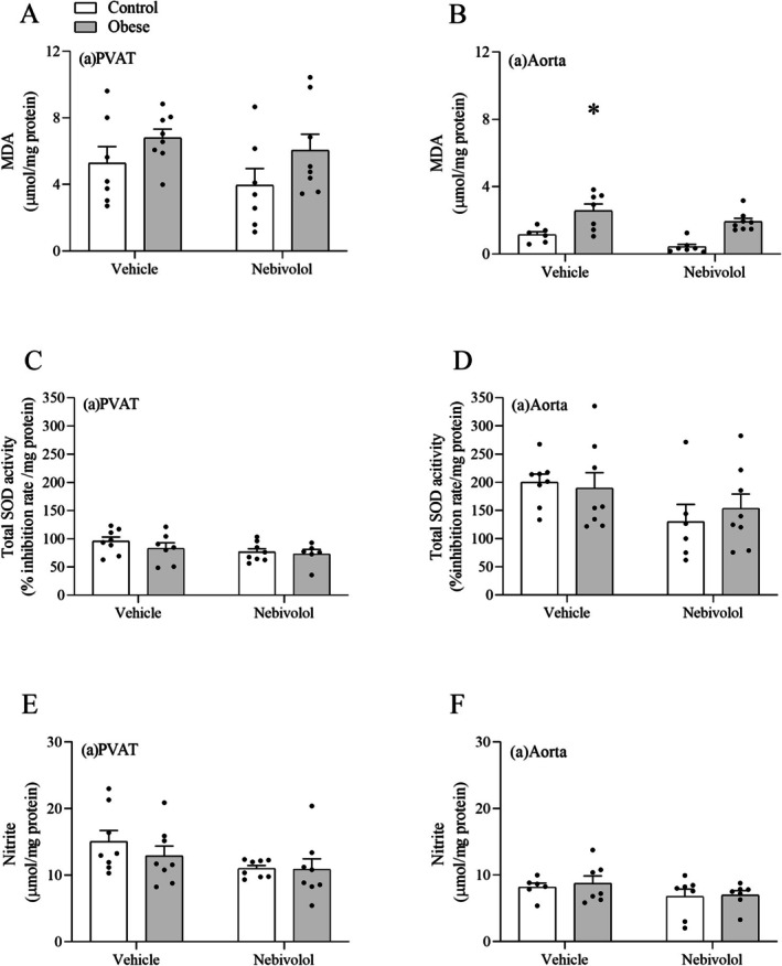 Effects of obesity on total SOD activity, lipoperoxidation and nitrite concentration in the abdominal aorta and abdominal PVAT. The concentration of MDA (A, B), the activity of SOD (C, D), and the concentration of nitrite (E, F) were determined colorimetrically. Values are given as means ± SEM ofn= 6–8 rats. *Compared to the control, nebivolol, and obese‐nebivolol groups (p< 0.05; two‐way ANOVA followed by Tukey's post hoc test).