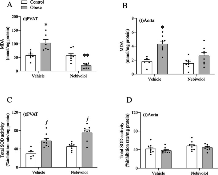 Effects of obesity on total SOD activity and lipoperoxidation in the thoracic aorta and thoracic PVAT. The concentration of MDA (A, B) and the activity of SOD (C, D) were determined colorimetrically. Values are given as means ± SEM ofn= 5–8 rats. *Compared to the control, nebivolol, and obese‐nebivolol groups;**Compared to the control, obese and nebivolol groups;ƒCompared to the control and nebivolol groups (p< 0.05; two‐way ANOVA followed by Tukey's post hoc test).