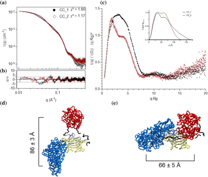 SAXS analysis and modeling of bifunctional complexes. (a) Experimental SAXS curves for CC_1 (black circles) and CC_2 (red diamonds), scaled to emphasize structural differences. χ2values for the most representative DADIMODO‐generated models are indicated, with residuals shown in (b). (c) Dimensionless Kratky plots with autocorrelation functions inset. (d, e) Best‐fit models among five independent DADIMODO runs for CC_1 and CC_2, respectively, with mean distances between catalytic residues indicated. Cel9R is shown in blue, Cel8A in red, and Jo–In in gray/yellow according to Figure1.