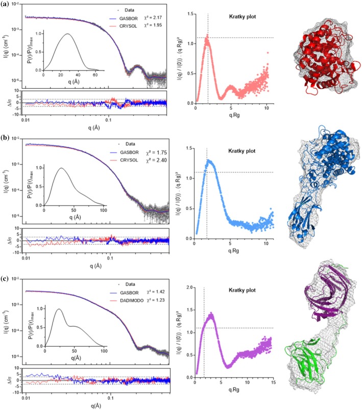 Experimental SAXS data are shown in gray dots from top to bottom forAtCel8A (a).AtCel9R (b). andAtXyn11A (c). In the inset, normalized autocorrelation (P(r)/P(R)max) function is displayed. Normalized Kratky are displayed in red forAtCel8A; blue forAtCel9R and violet/green forAtXyn11A. Two models are fitted to the raw data and normalized residuals for both fits are shown below each curve. An ab initio envelope reconstruction was generated using GASBOR (green curve) and a theoretical scattering curve from atomic models using CRYSOL or DADIMODO; the most representative model ofAtXyn11A is displayed.Dmax,Rgand apparent molecular weight are displayed in Table2along with χ2values for each model. Ab initio and all‐atom models were aligned using CIFSUP and displayed with color according to Kratky plot.