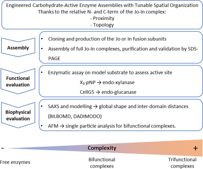 Workflow diagram illustrating the pipeline used in this study.