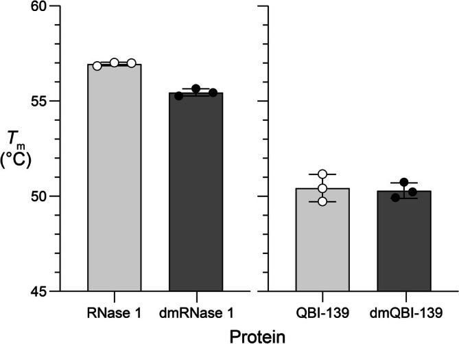 Effect of reductive methylation on thermostability. Values ofTm(mean ± SD) were determined by differential scanning fluorimetry in 100 mM Tris–HCl buffer, pH 7.5, containing NaCl (100 mM). RNase 1, 57.0°C ± 0.1°C; dmRNase 1, 55.5°C ± 0.2°C; QBI‐139, 50.4°C ± 0.7°C; and dmQBI‐139, 50.3°C ± 0.4°C.