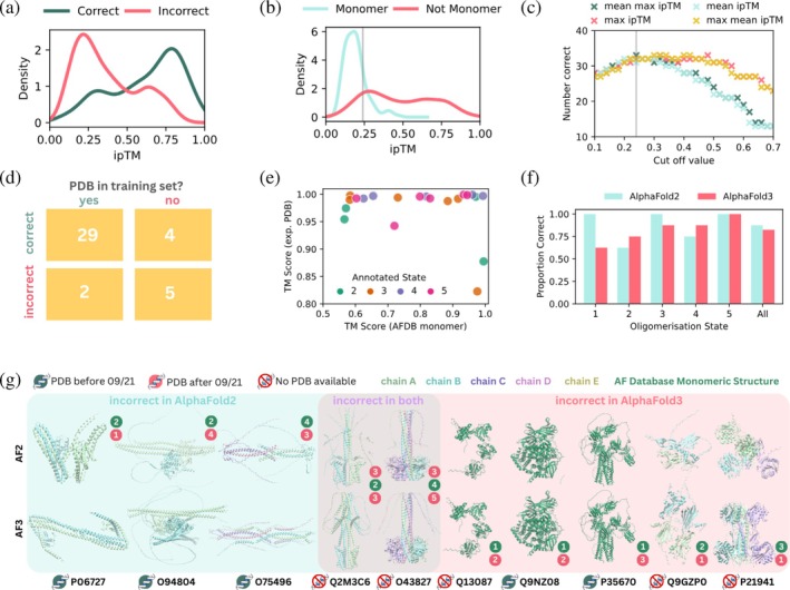 ipTM scores from the AlphaFold3 online server also accurately predict oligomeric states. (a) Probability distribution plot of ipTM scores for 32 known multimeric proteins predicted in the correct (pink) and incorrect (green) oligomeric states. (b) Probability distribution plot of ipTM scores from AF3 for eight known monomeric proteins predicted with 2, 3, 4, 5 subunits (blue) and 32 known multimeric proteins predicted with 2, 3, 4, 5 subunits (pink). The gray line indicates the cut‐off ipTM value of 0.24. (c) Number of correctly assigned oligomeric states (out of 40) vs. cut‐off value selected for four different methods to distinguish between monomeric and multi‐subunit proteins. The gray line indicates the optimal cut‐off ipTM value of 0.24. (d) Two‐way table showing the distribution of proteins with oligomeric states predicted correctly and incorrectly based on whether an experimentally resolved structure exists within the training set. (e) TM score between the top ranked AlphaFold3 predicted structure and experimentally resolved structure (if available) plotted against the TM score between the top ranked AlphaFold3 predicted structure and the monomeric structure from the AFDB, colored by annotated oligomerisation state. (f) Comparison of AlphaFold2 and AlphaFold3 prediction accuracy by annotated oligomerisation state. (g) Snapshots of the top ranked structural predictions generated by AF2‐M (top row) and AF3 (bottom row) in the correct oligomeric state for proteins that were assigned to an incorrect oligomeric state by AF2‐M, AF3, or both AF2‐M and AF3 (ribbon, colored by chain). For monomeric proteins, the AFDB monomeric structure is shown in dark green. The presence of an experimentally resolved structure in the PDB or AlphaFold2 training set is indicated with an icon near each UniProt ID. The correct oligomerisation state is indicated by each structure in green and the incorrect prediction by the associated method in red.
