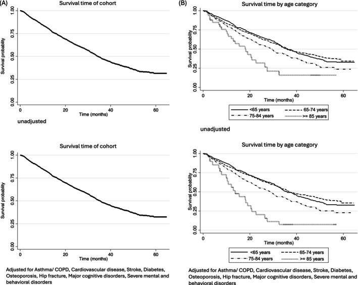 Kaplan–Meier curves of overall survival in all CDKi users (A) and different age categories of CDKi users (B).