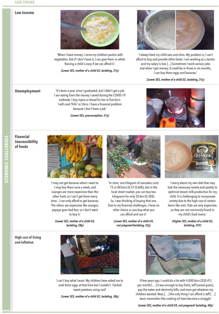Economic challenges to adopting healthy diets across socio‐economic groups.