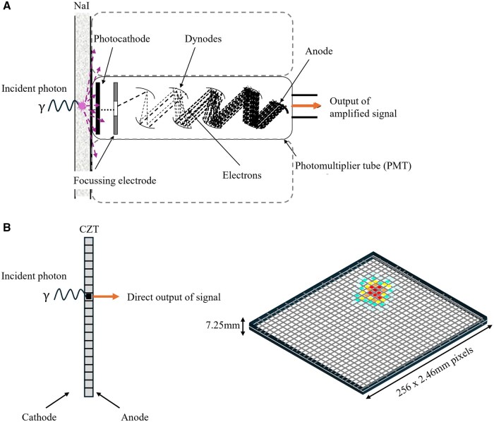 Figure 2. Comparison of the conventional gamma camera design with PMTs (A) vs the considerably 1 less bulky digital semiconductor design with CZT (B).