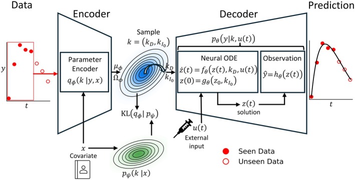 Overview of the empirical Bayes variational autoencoder. The encoder learns the posterior of the individual parametersk, which gives individual time course data and covariates. A sample is drawn from the posterior and sent to the decoder to facilitate reconstruction of each individual's data.