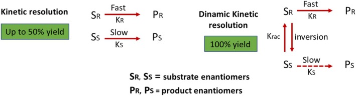 Kinetic and dynamic kinetic resolution.