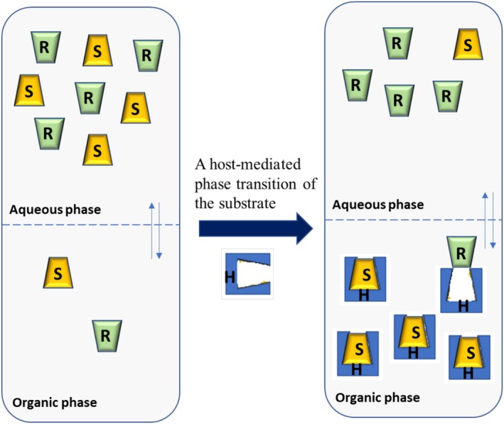 Host‐mediated phase transfer, which is the basic principle of ELLE.