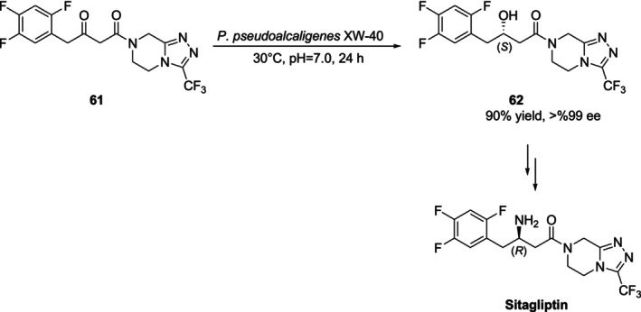 Synthesis of a chiral intermediate 61 of sitagliptin with high enantioselectivity by microbial bioreduction.